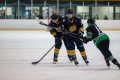 Dunedin Pheonix Thunder Vs West Auckland Admirals