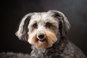 ADOM-20210129-0012-Edit